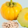 Garcinia Cambogia: An In-depth Look at Weight Loss Supplements and Metabolism Boosters